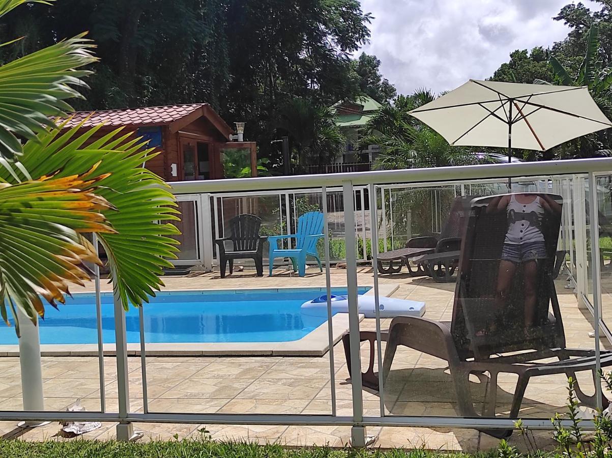 Le Tri Haut De Bellevue - Bungalow Colibri Pointe-Noire Exteriör bild