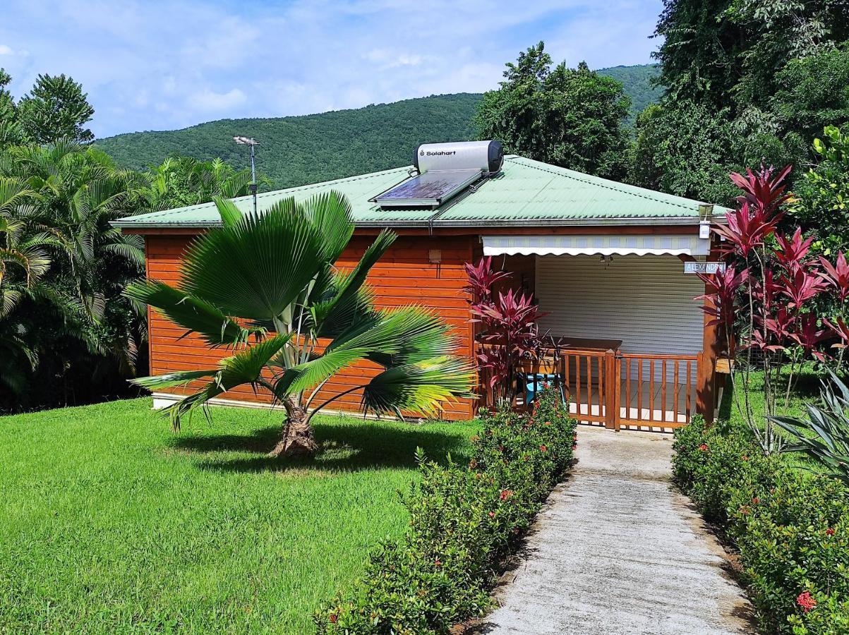 Le Tri Haut De Bellevue - Bungalow Colibri Pointe-Noire Exteriör bild